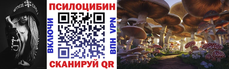 Псилоцибиновые грибы MAGIC MUSHROOMS  Рыбное 